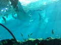 SPRING TRIP CO14 (18)