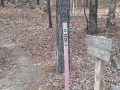 OAK MOUNTAIN CO17 (93)