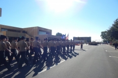 Veterans Day Parade CO18
