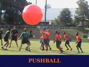 Pushball-Gallery